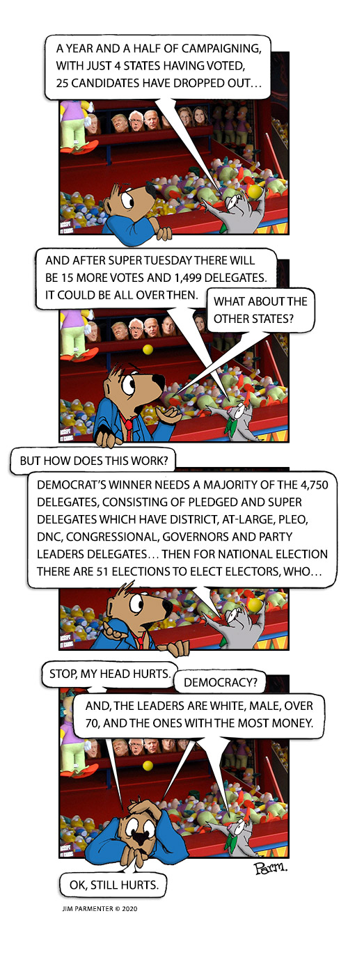 A year and a half of campaigning, with just 4 states having voted, 25 candidates have dropped out… And after Super Tuesday there will be 15 more votes and 1,499 delegates. It could be all over then. What about the other states? But how does this work? Democrats need a majority of the 4,750 delegates, consisting of Pledged and Super delegates which have District, At-Large, PLEO, DNC, Congressional, Governors and Party Leaders delegates… Then for National Election there are 51 elections to elect electors, who…  Stop my head hurts. And Democracy? Well, the leaders are white, male, over 70, and ones with the most money. OK, still hurts.