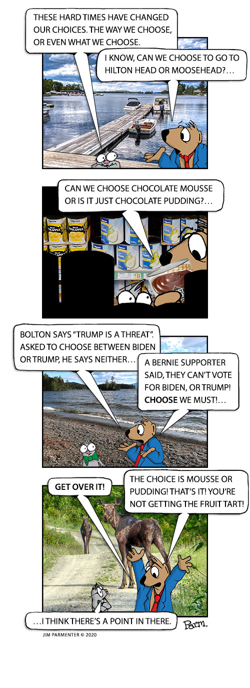These hard times have changed our choices. The way we choose, or even what we choose. I know, can we choose to go to Hilton Head or Moosehead?… Can we choose Chocolate Mousse or is it just Chocolate Pudding?… Bolton says “Trump is a threat”. Asked to choose between Biden or Trump, he says neither…   A Bernie supporter said, they can’t vote for Biden or Trump! Choose we must!  Get over it! The choice is Mousse or Pudding! That’s it! You’re not getting the fruit tart! …I think there’s a point in there.